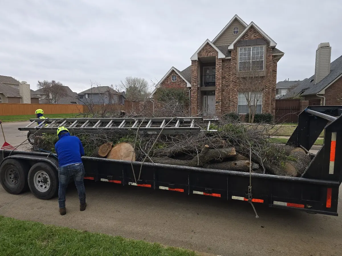 Expert Lot Clearing with proper safety equipment in Murphy